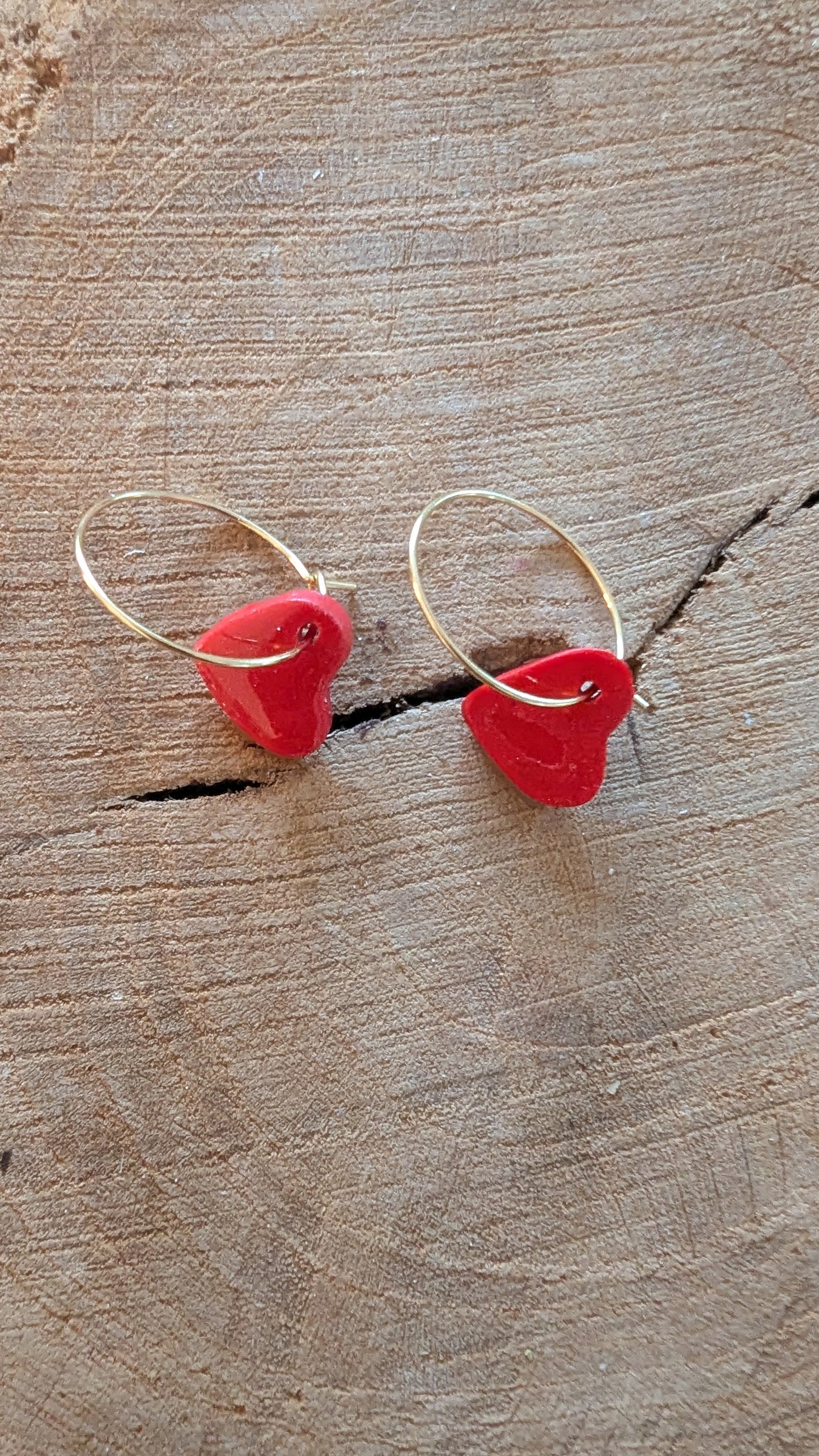 Boucles d'oreilles CREOLES