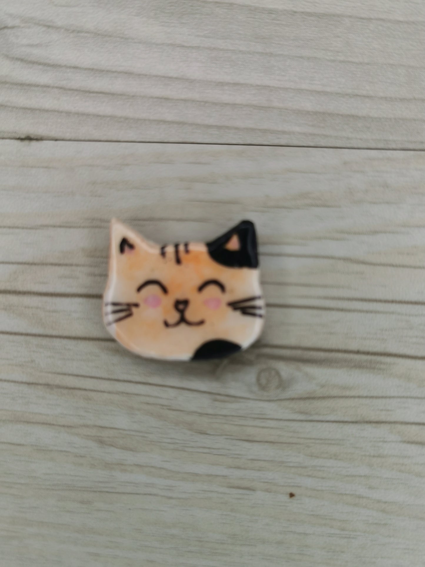 Pin's aimanté chat marron