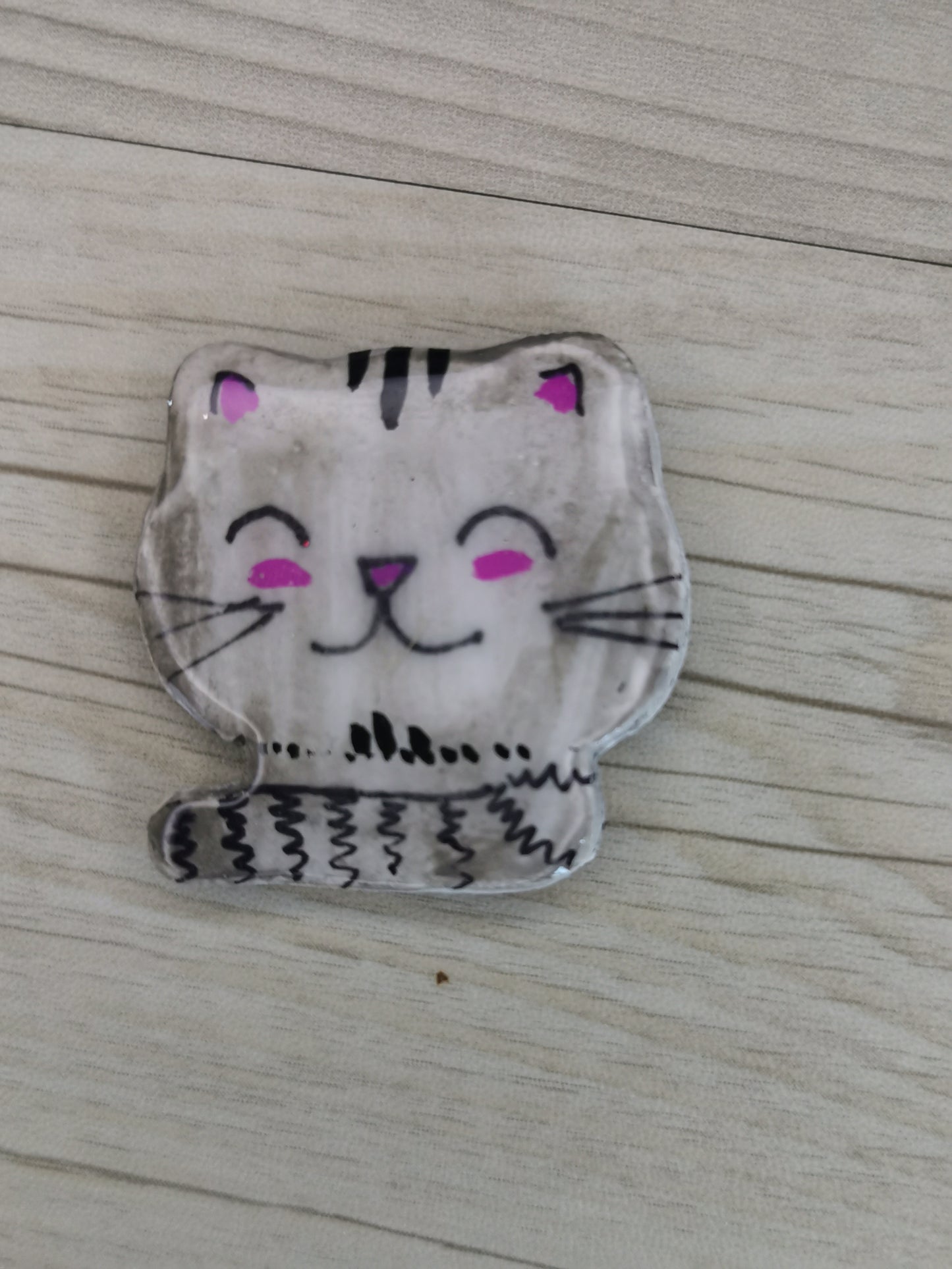 Pin's aimanté grand chat